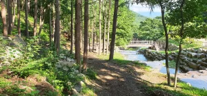 대봉스카이랜드산책로