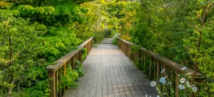 팜카밀레산책로